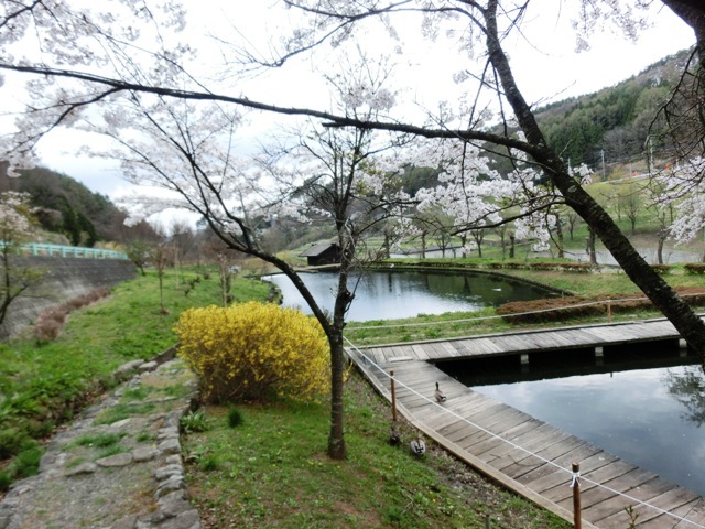 a0186689_00010247.jpg