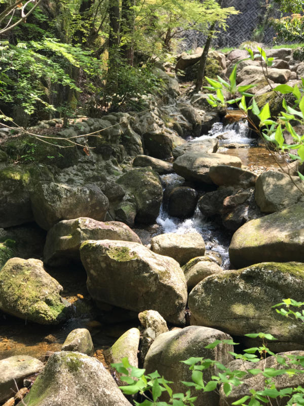 f0376195_20152487.jpg