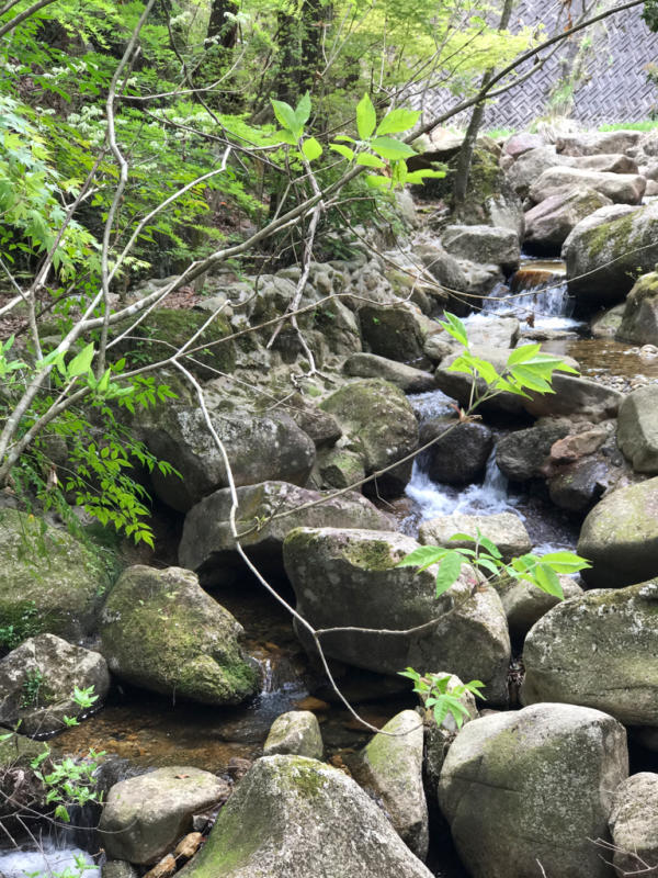 f0376195_20152538.jpg