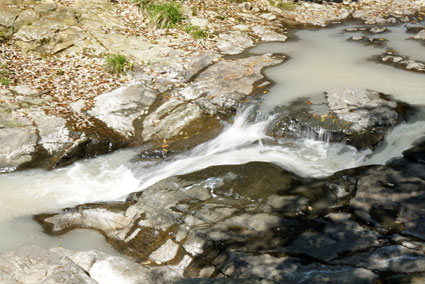 b0145296_114084.jpg