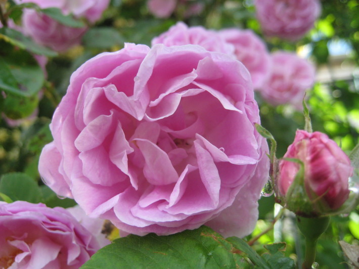 f0201297_08362390.jpg