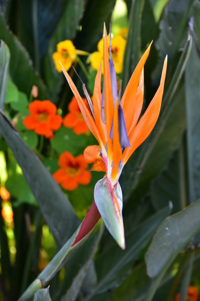 c0049299_22294845.jpg