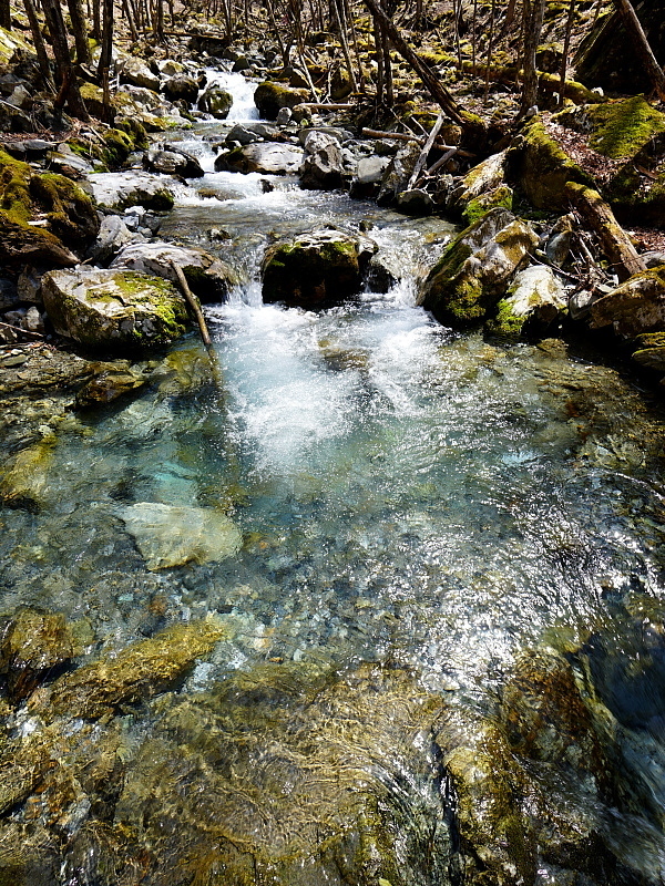 c0339900_21300277.jpg