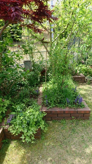 c0152002_18451456.jpg