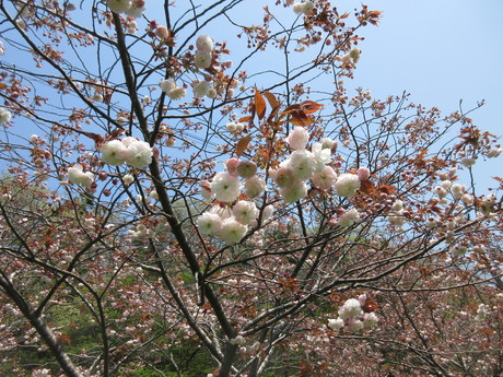 a0203003_22303588.jpg