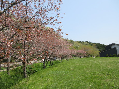 a0203003_22312332.jpg