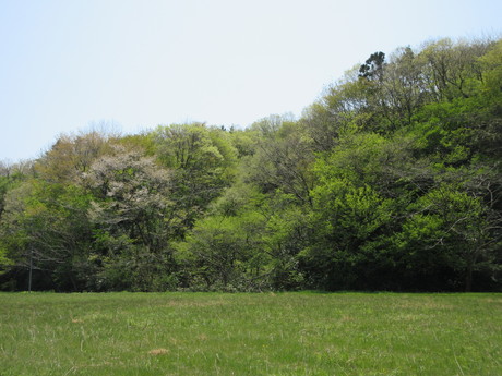 a0203003_22322614.jpg
