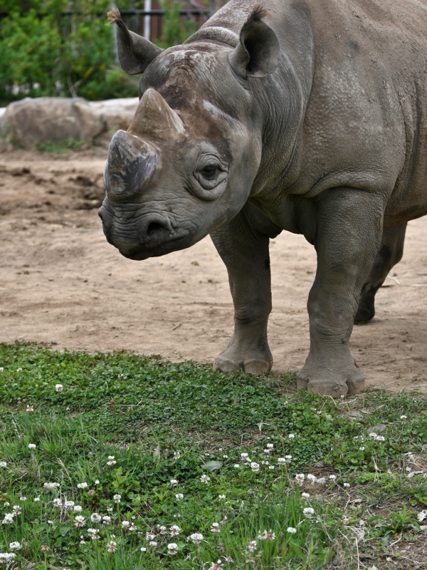 a0164204_12320122.jpg