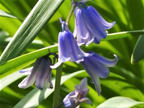 e0245404_20501371.jpg