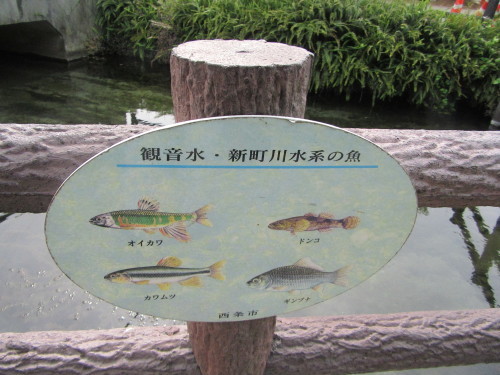 f0231709_14360590.jpg