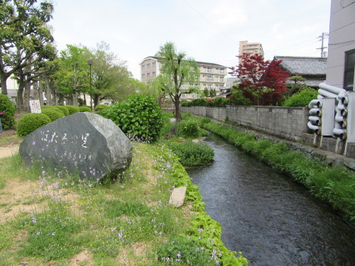 f0231709_14425574.jpg