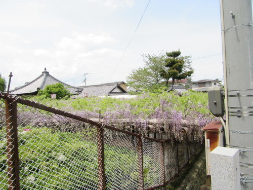 f0231709_14530073.jpg