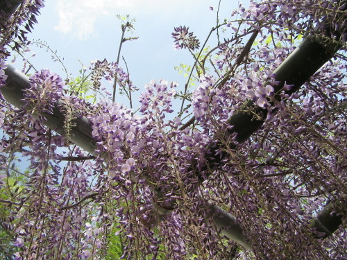 f0231709_14564296.jpg