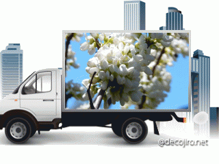 b0352112_12121174.gif
