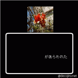 b0352112_1237261.gif
