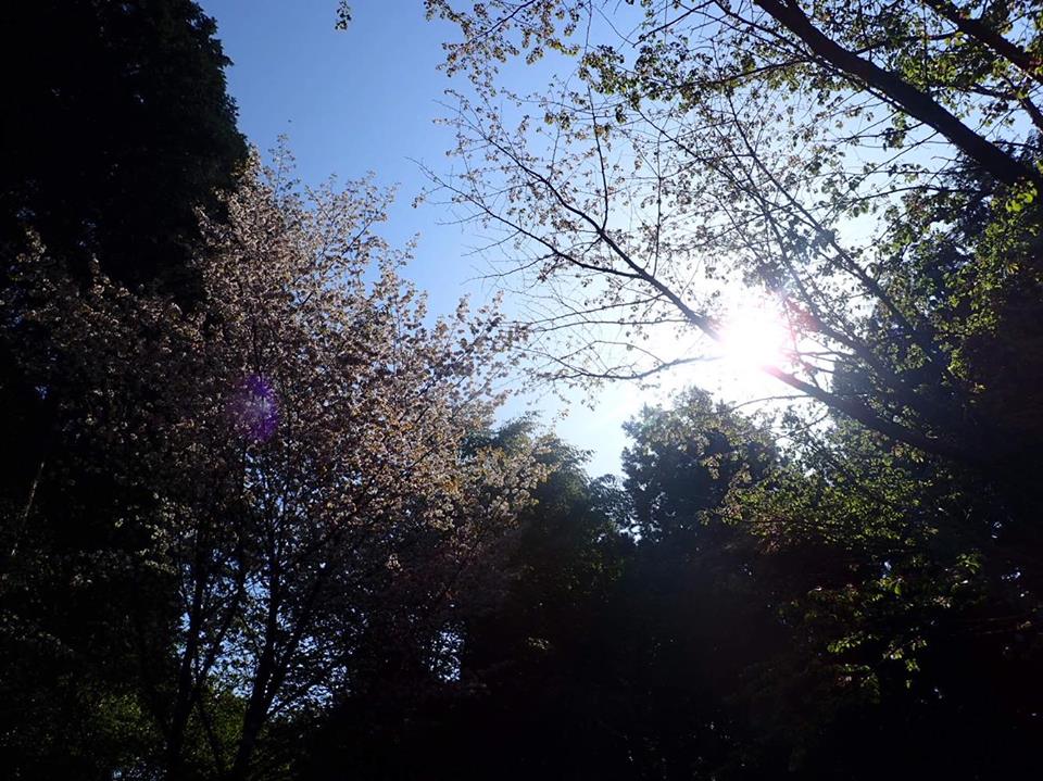 f0178412_1340574.jpg