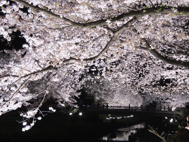 b0309813_07308.jpg