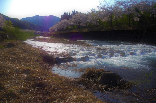 c0232813_20300038.jpg
