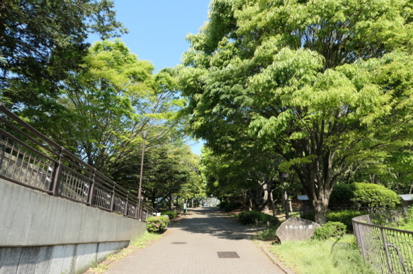 f0369014_15021730.jpg