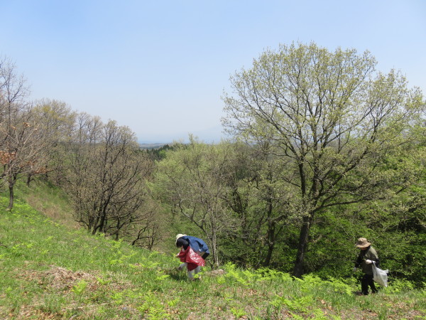 e0350415_23093148.jpg