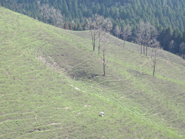 e0350415_23124893.jpg