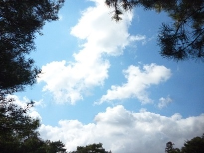 e0135219_15224888.jpg