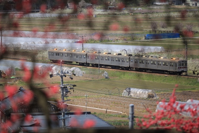 e0242721_08251019.jpg