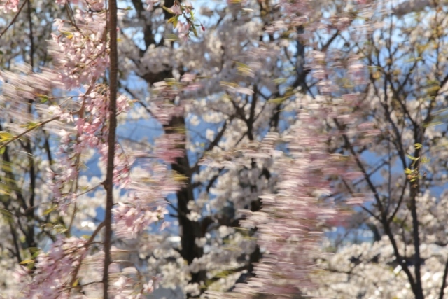 e0242721_08323519.jpg