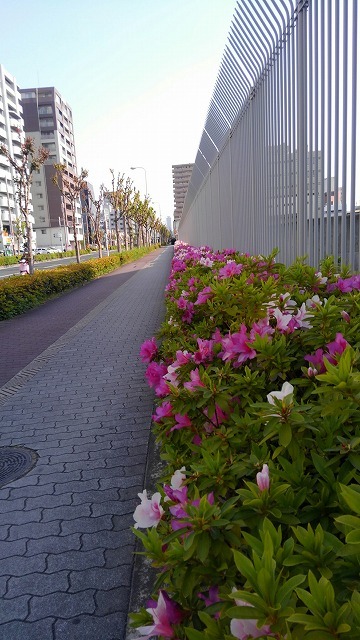 a0172222_10522788.jpg