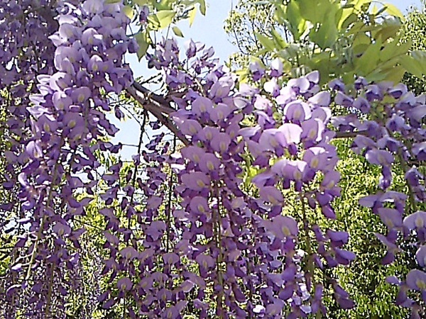 b0068423_22441969.jpg