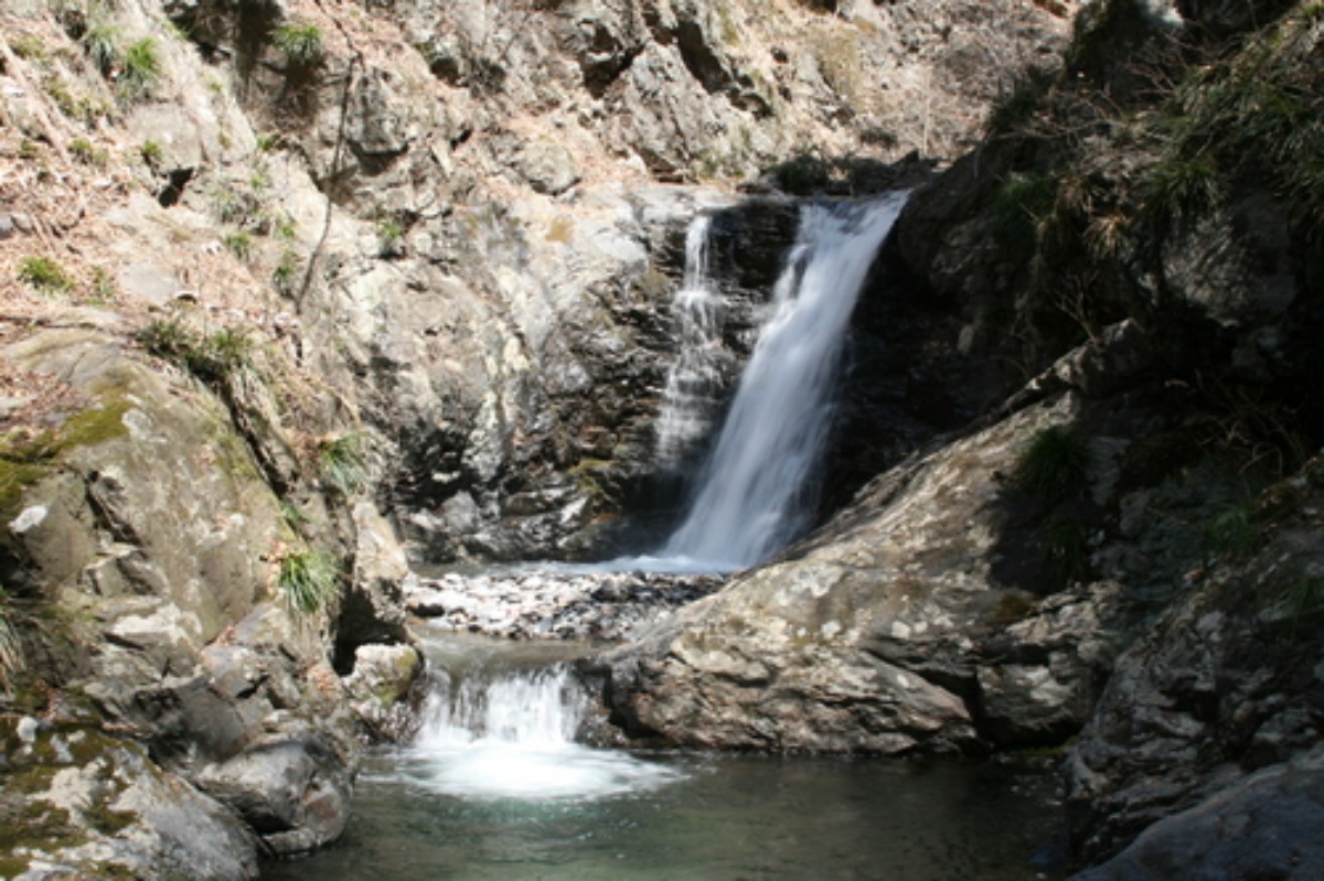 e0033229_19251424.jpg