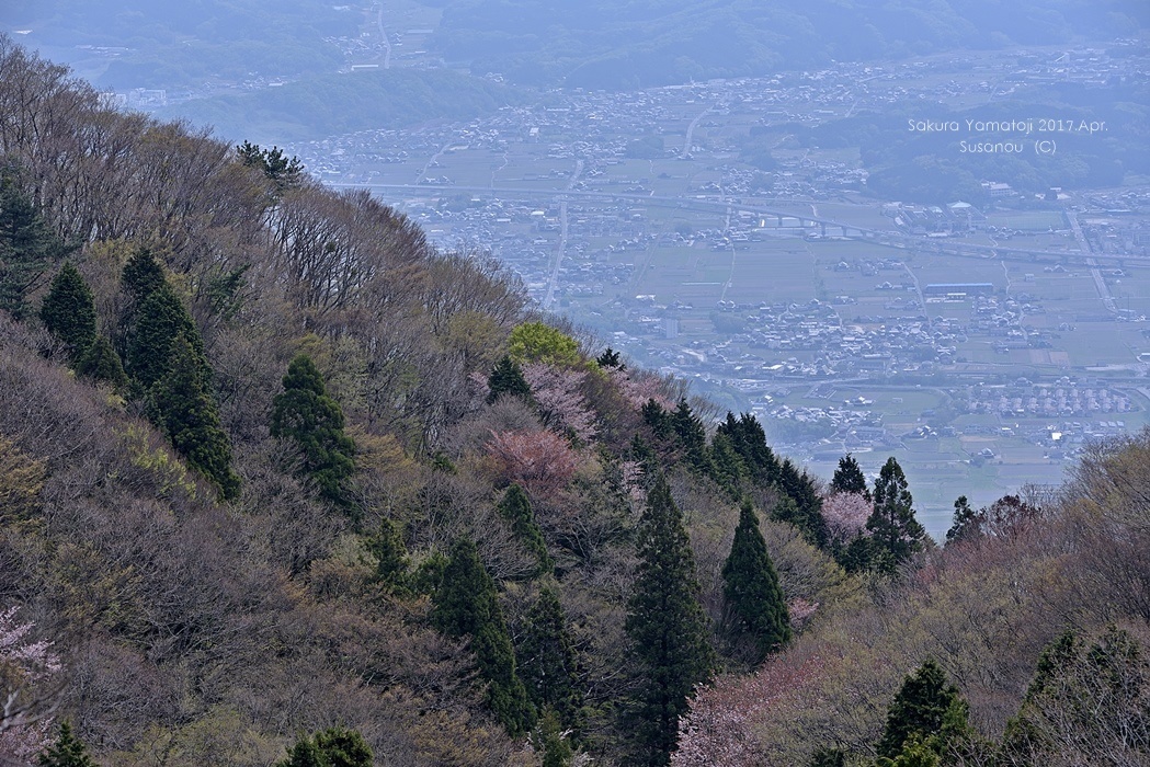 a0212036_05394327.jpg