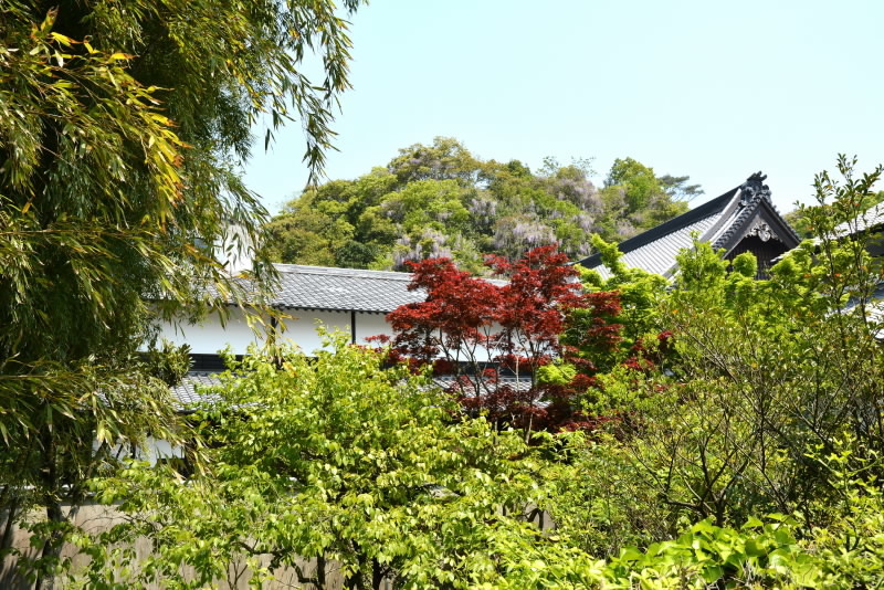 e0056537_21130533.jpg