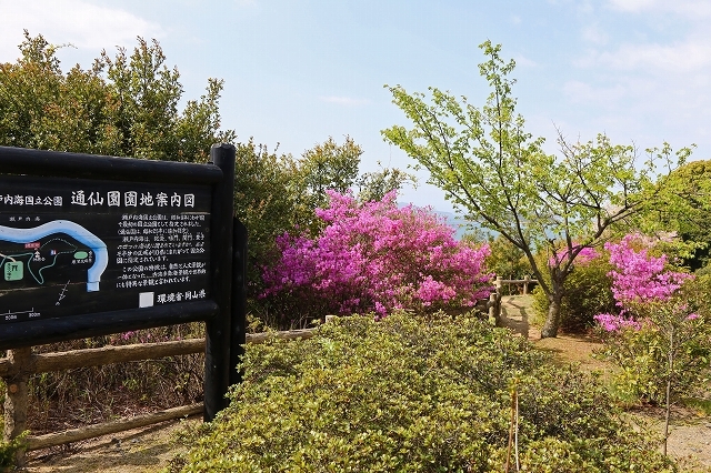 a0242438_18145711.jpg