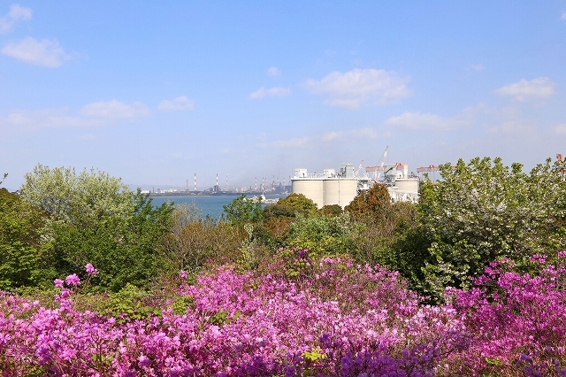 a0242438_18145735.jpg