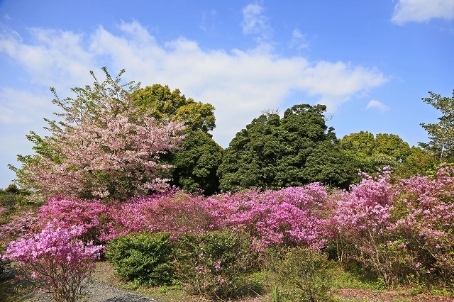 a0242438_18150519.jpg