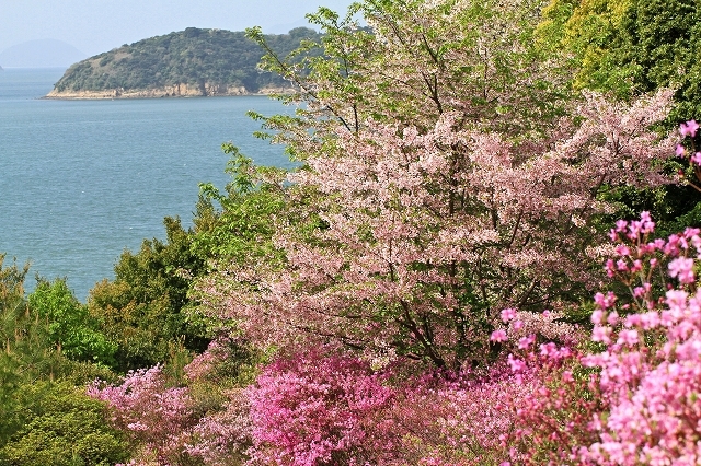 a0242438_18155698.jpg