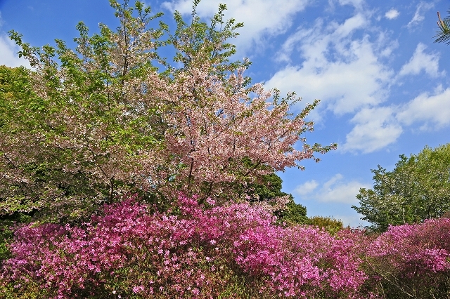 a0242438_18155891.jpg