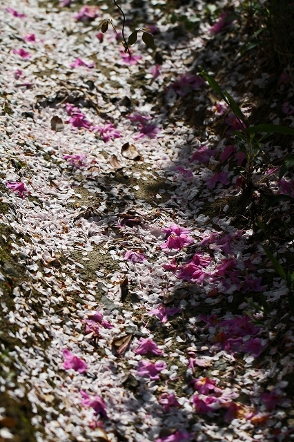 a0242438_18160402.jpg