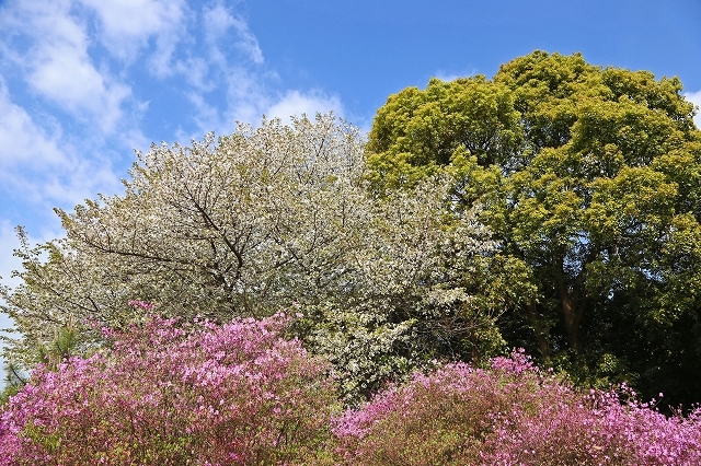 a0242438_18160439.jpg