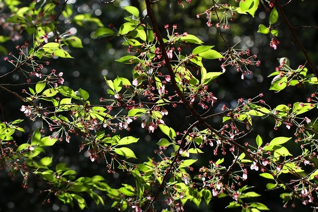 a0242438_18160446.jpg
