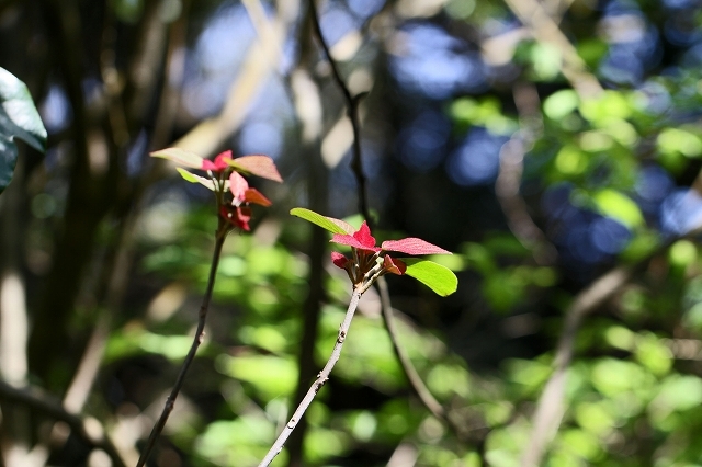 a0242438_18165853.jpg