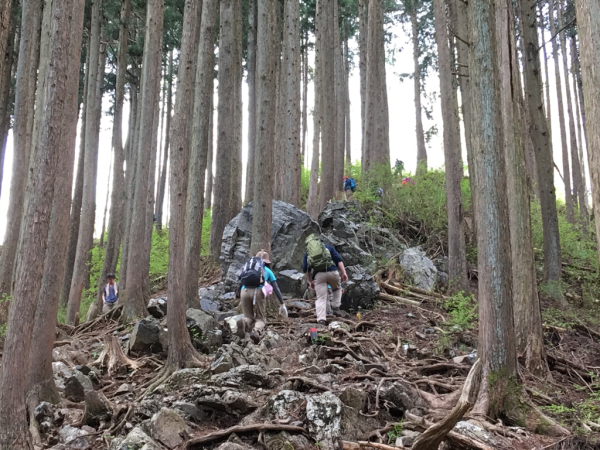 c0024541_19141804.jpg