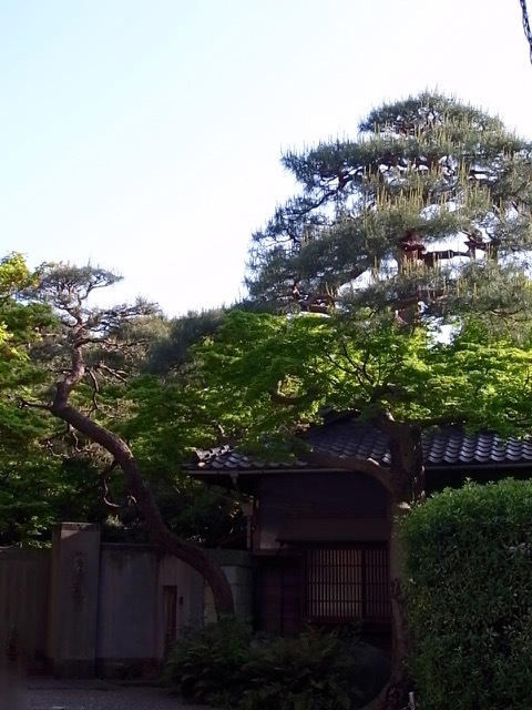 d0350542_23034147.jpg