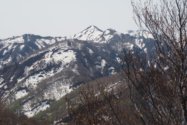 b0189948_2282642.jpg