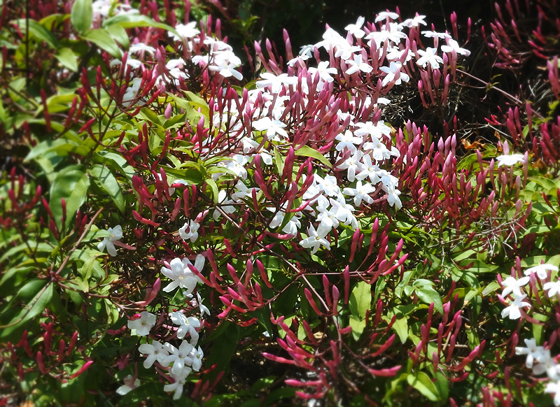 d0322448_15504833.jpg