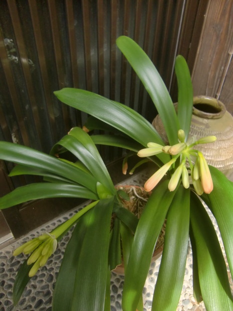f0329849_21482015.jpg