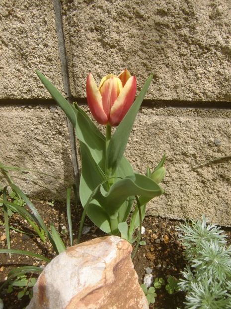 f0329849_21500029.jpg
