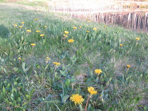 b0247153_02571175.jpg