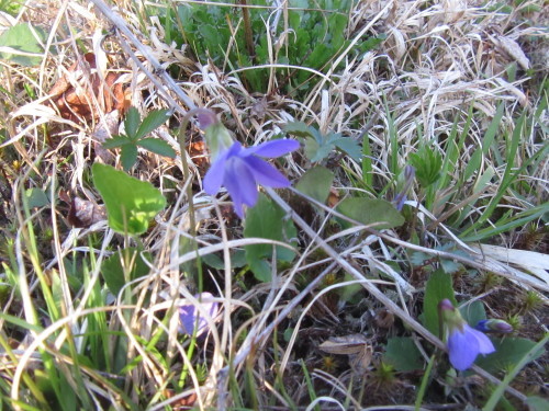 b0247153_03005509.jpg